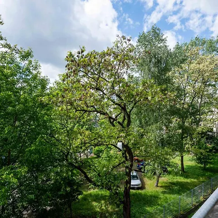 アパート Pink Blush Haven